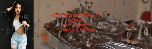 гашик Абинск